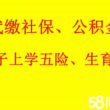 西安金領(lǐng)人力資源信息咨詢(xún)服務(wù)有限責(zé)任公司 專(zhuān)業(yè)信息咨詢(xún)服務(wù)的全面解析